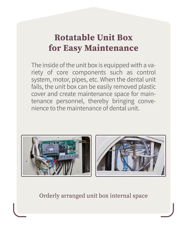 Dental Model Jaws Luxury Dental Unit