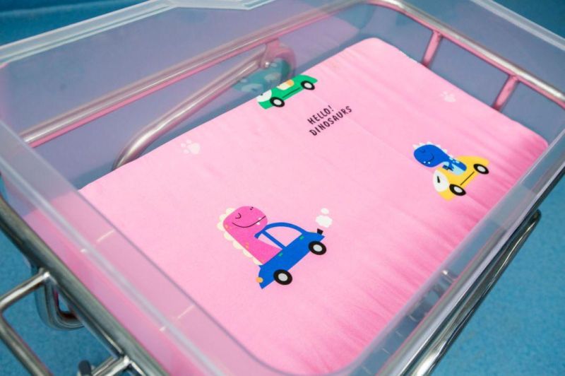 Child Furniture Comfortable Stainless Steel Pediatric Baby Bed Adjustable Manual Hospital Crib for Newborn with CE/FDA