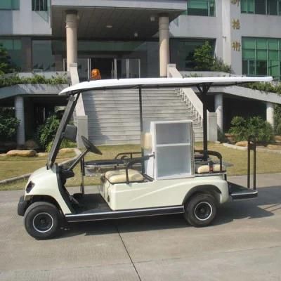 2 Person Ambulance Electric Buggy &amp; 48 Volt Motor