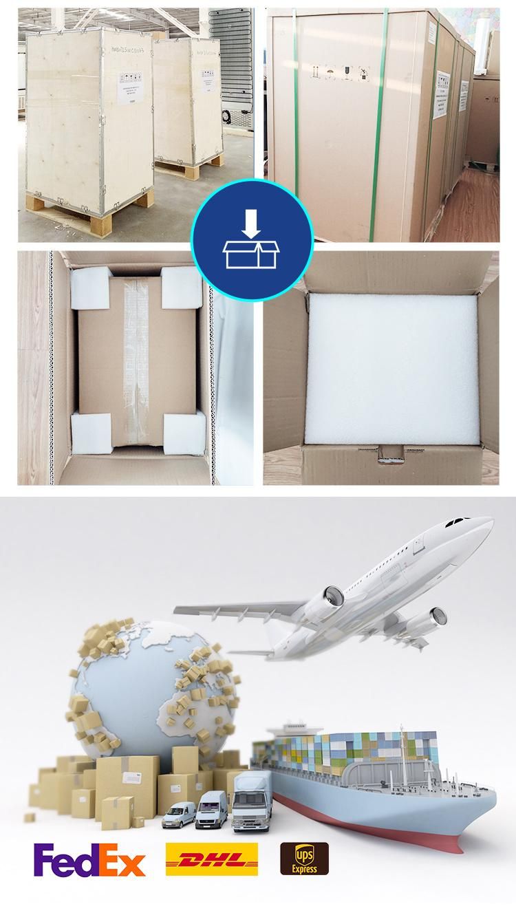 Bioevopeak Hospital Examining Couch Obstetric Delivery Bed