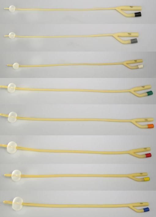 Hot Selling Medical Consumables Foley Latex Silicone Coated 2-Way Catheter