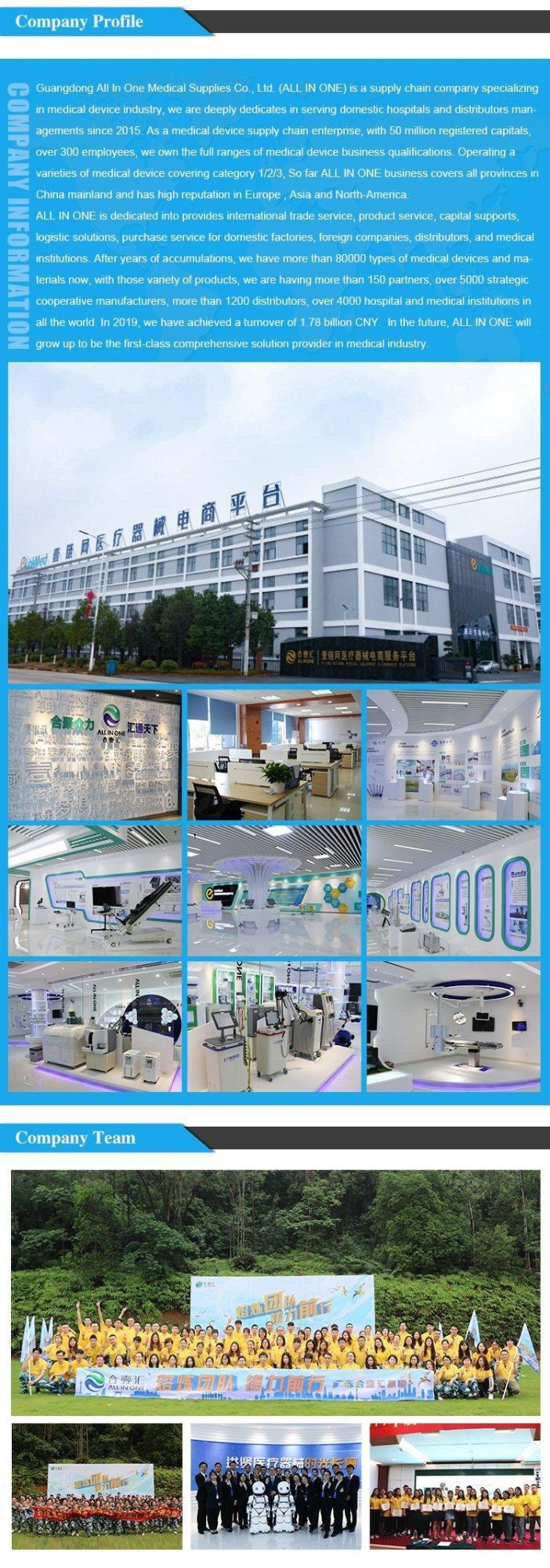 Medical Furniture Electric 2 Function Hospital Patient Bed