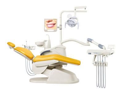 Dental Model Jaws Luxury Dental Unit