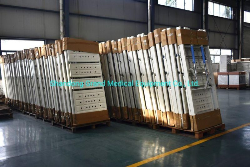 Manufacturer Mobile Multi-Functional Adjusted Electric Five Function Nursing Patient Bed ICU Nursing Bed with Side Rails