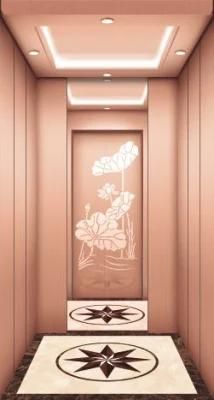 Hairline Stainless Steel APSL-B01/02/03/04 VVVF top brand Passenger Lift Elevator