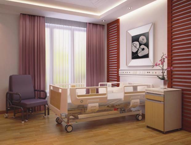 Hospital Equipment Medical Multi-Function Electric Patient Nusring Bed