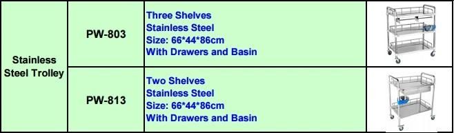 Hospital Medical Two Shelves Stainless Steel Mobile Chart, Trolley (PW-813)