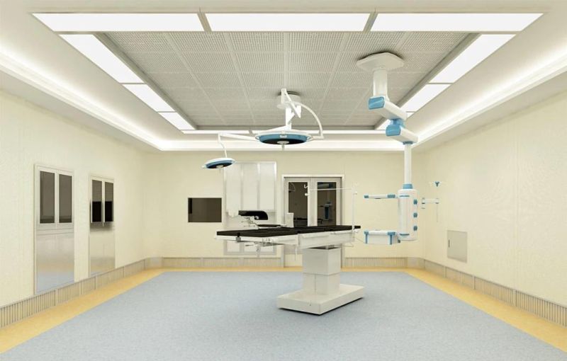 ABS Hanging Head Strip Style Double Shake Bed for Hospital Equipment Nursing Bed