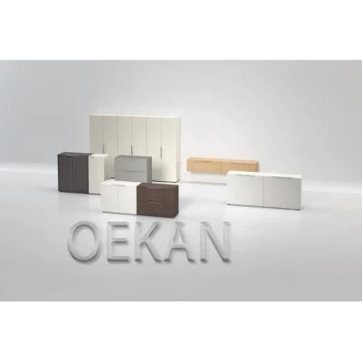 Oekan Modern New Design Hospital Patient Storage Cabinet