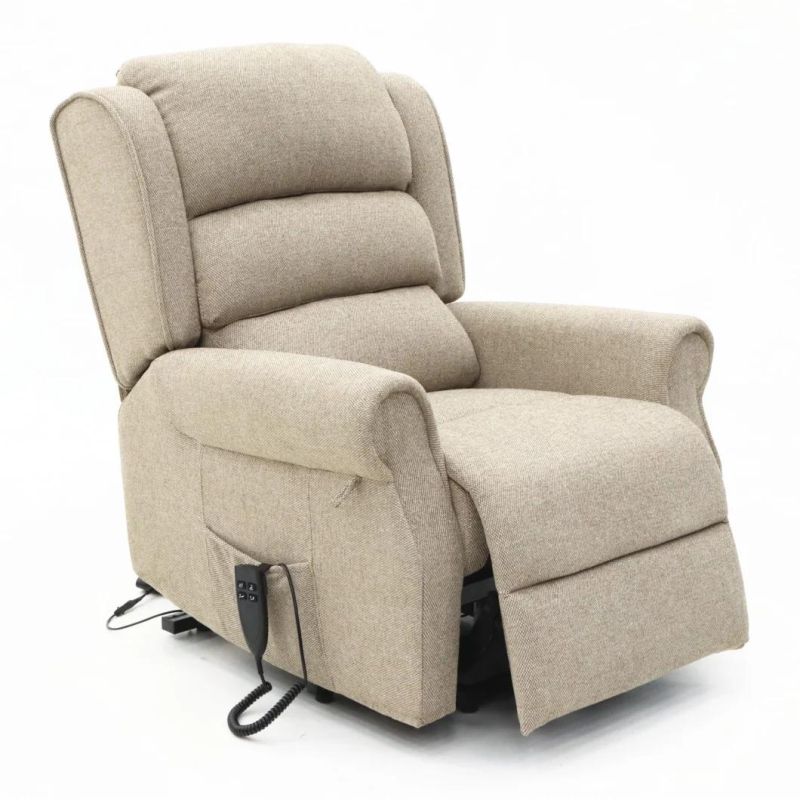 Geeksofa Elderly Multi Position Electric Recliner Power Lift Chair