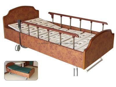 RS101-B-a Luxurious Homecare Electric Bed with Five Functions (ZT101-B-A)