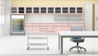 Popular Metal Functional Cabinet Hospital Furniture with Best Quality