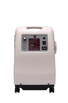 in Stock 220V Medical Grade 5L/10L Portable Oxygen Concentrator to Indonesia