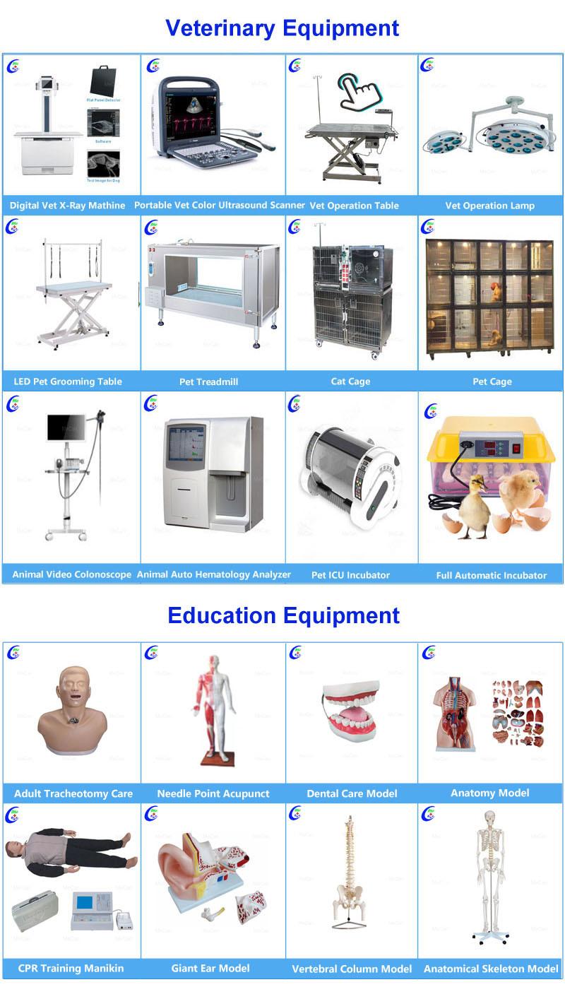 2 Crank Hospital Furniture Medical Manual Hospital Bed