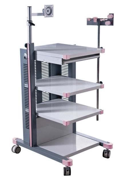 Hospital Medical Endoscope Trolley Computer Station Cart