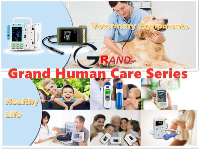 Safe and Comfortable Cervical Traction Device Soft Neck Brace in Hospital Rehabilitation Center or Homecare