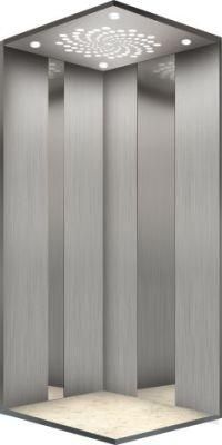Hairline stainless steel SS304 Home Residential Passenger Elevators