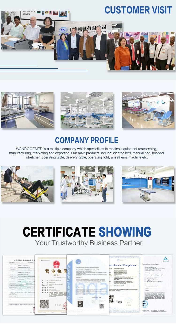 Bam309 3 Functions Hospital Medical ICU Recovery Manual Patient Sickroom Treatment Bed with Cranks