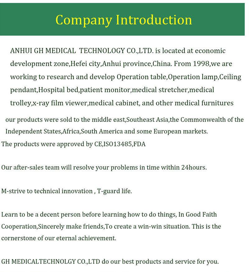 Multi-Function Best Product Adjustable Power Electric Hospital Bed with CE ISO FDA