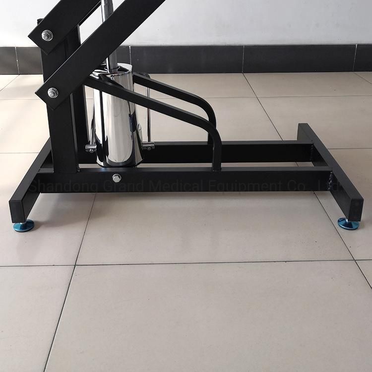 The Most Popular Cost-Effective Electric Lifting Pet Equipment Black Color Pet Grooming Table for Pet Cleaning