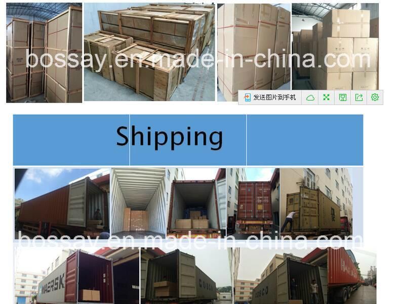 China Professional Care Bed Three Functions Hospital Bed