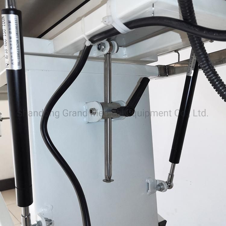 White Color Electric Adjustable Height Pet Clinic Equipment Multifunction Pet Operating Table