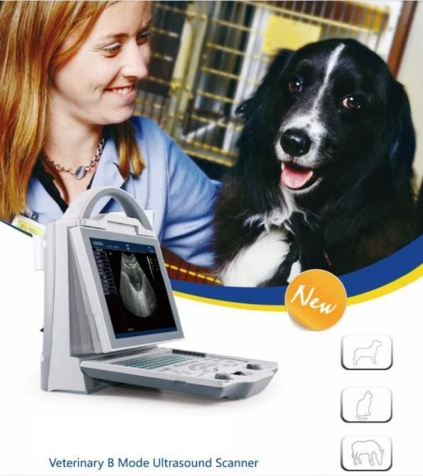 Wholesale Factory Price Hospital Medical Equipment Animal Handheld Vet Color Doppler Portable Veterinary Ultrasound Scanner