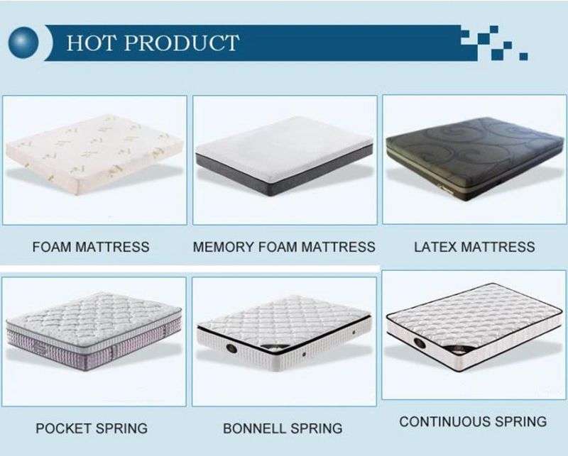 Waterproof Mattress Thin Foam Mattress Medical Mattress