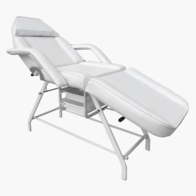 High Quality Luxury Salon Furniture Cosmetic Tattoo Chair Massage Table Beauty Facial Bed