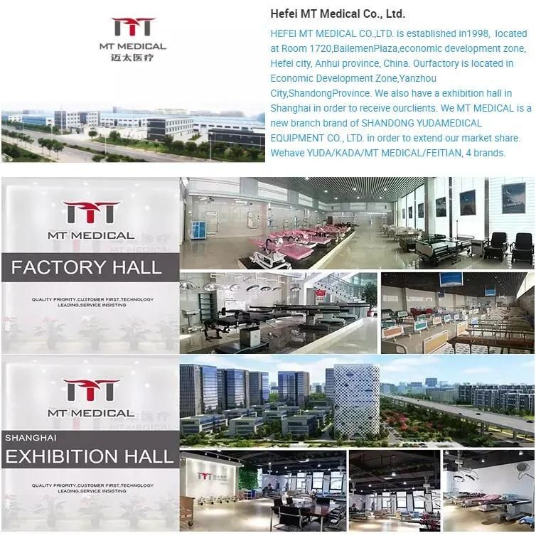 Factory Direct Supply Hospital Bed Sheets for Paralyzed Patients