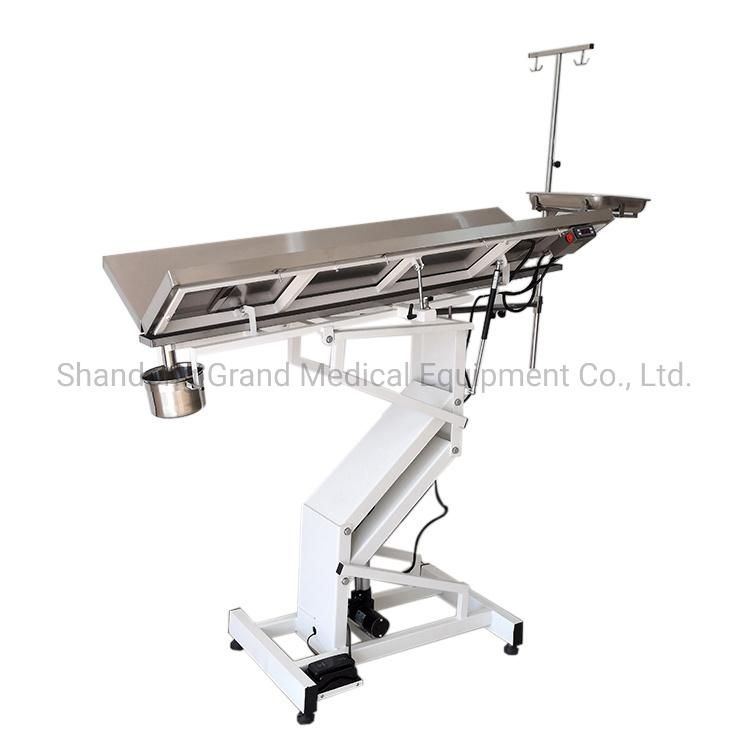 White Color Electric Adjustable Height Pet Clinic Equipment Multifunction Pet Operating Table