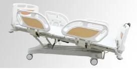 Hospital Bed Five-Function Electric Sickbed (AM-99602)