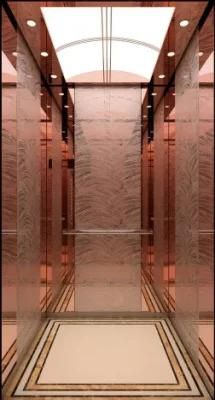 Classic VVVF top brand ODM OEM Passenger Lift Elevator