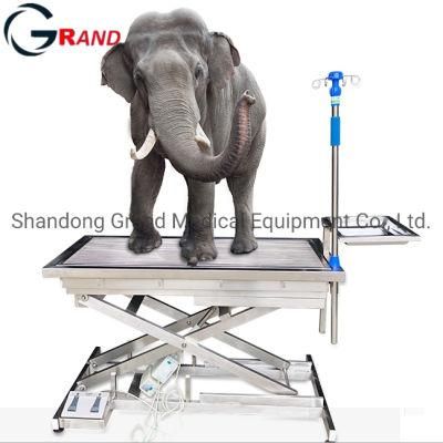 Veterinary Instrument Animal Equipment Vet Electric Stainless Steel Delivery Bed Surgery Operating/Operation Examination Table