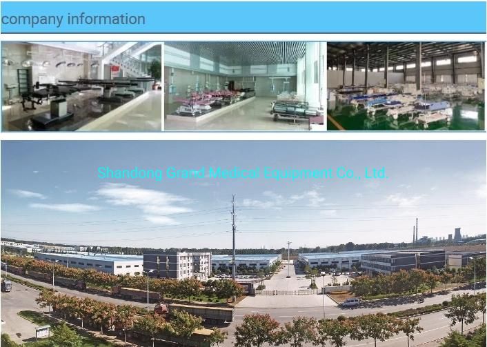 Manufacturer Hospital Equipment ABS High Quality 2 Crank 2 Functions Manual ICU Nursing Hospital Patient Beds