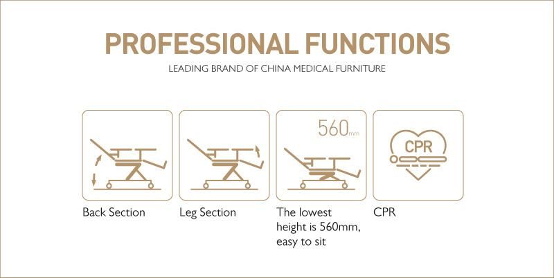 Ske-120b Professional Medical Exam Equipment Two Function Adjustable Electric Patient Dialysis Chair