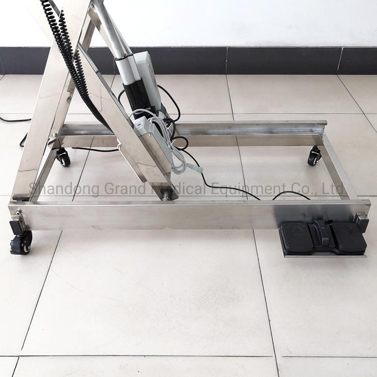 Customized Electric Adjustable Height High Strength 304 Stainless Steel Pet Examination Table for Veterinarian