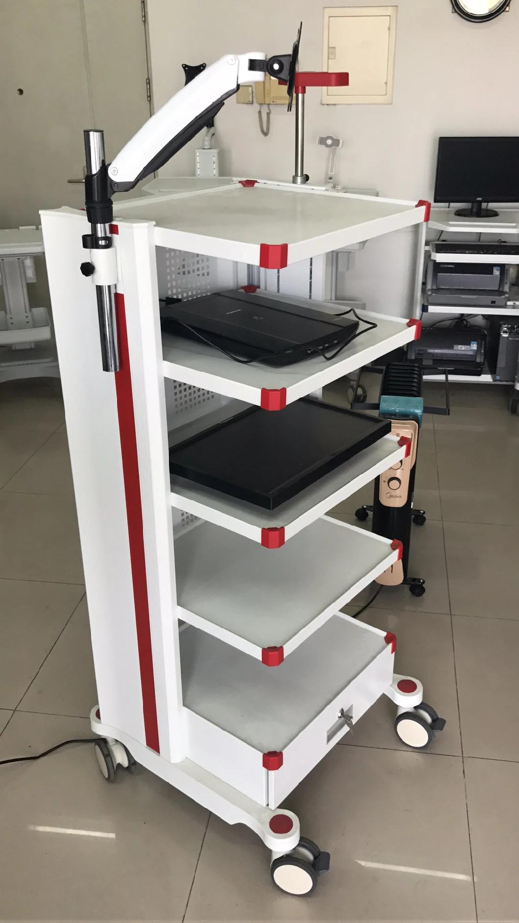 Hospital Medical Endoscope Trolley Computer Station Cart