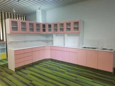 Full Furniture Metal Material Design Modern Equipments Modular Hospital Furniture Dental Wall Medicine Cabinets with Drawers