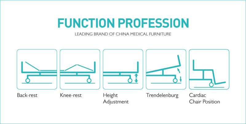 Sk005-2 Three Function Electric Medical Bed with Handrails for Elderly
