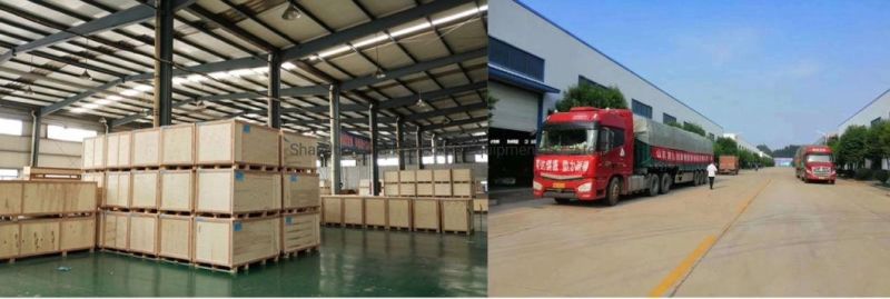 Medical Hospital Furniture Manufaturer Wholesale Price Medical Examination Flat Bed Check Bed for Hospital Patient Bed