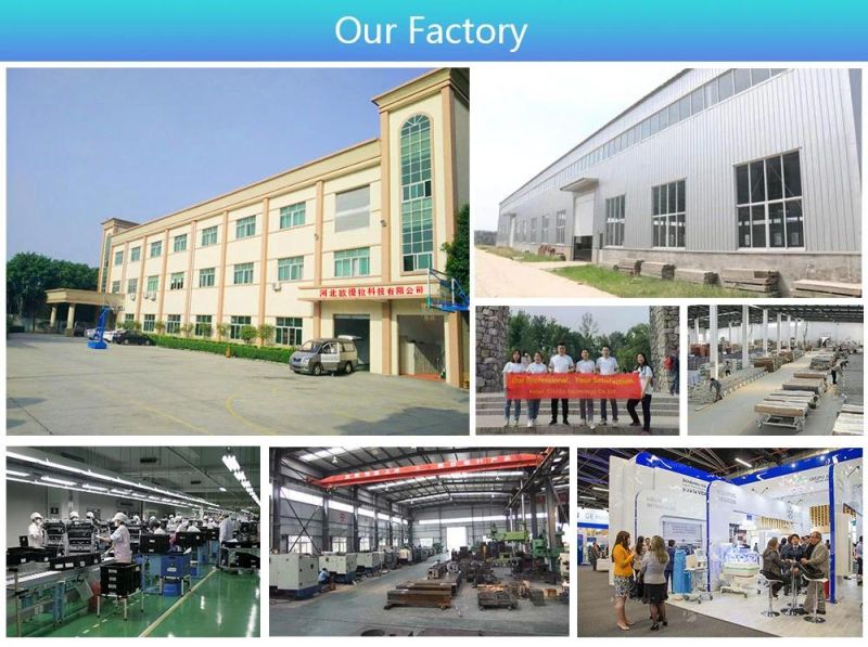 Factory High Quality Medical Hospital Nursing Patient Bed