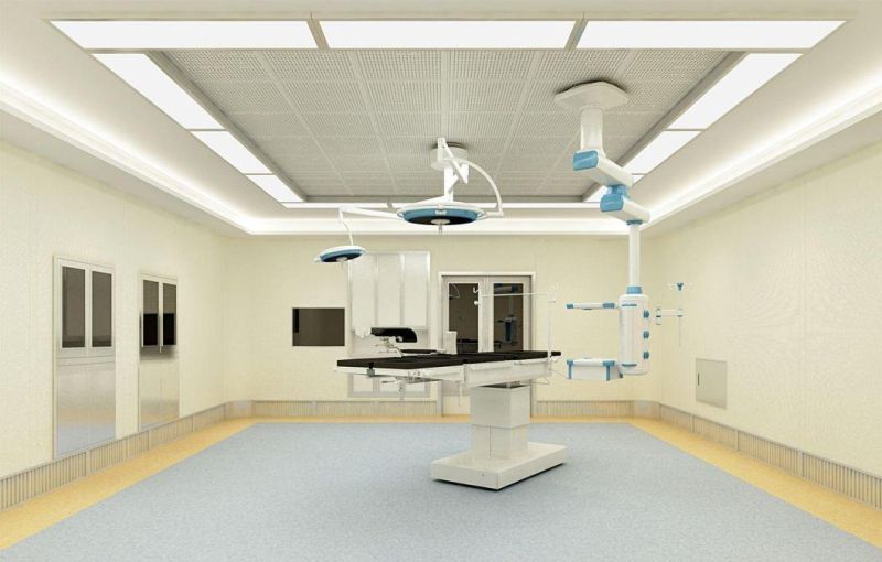 ABS Hanging Head Strip Style Double Shake Bed for Hospital Equipment Nursing Bed
