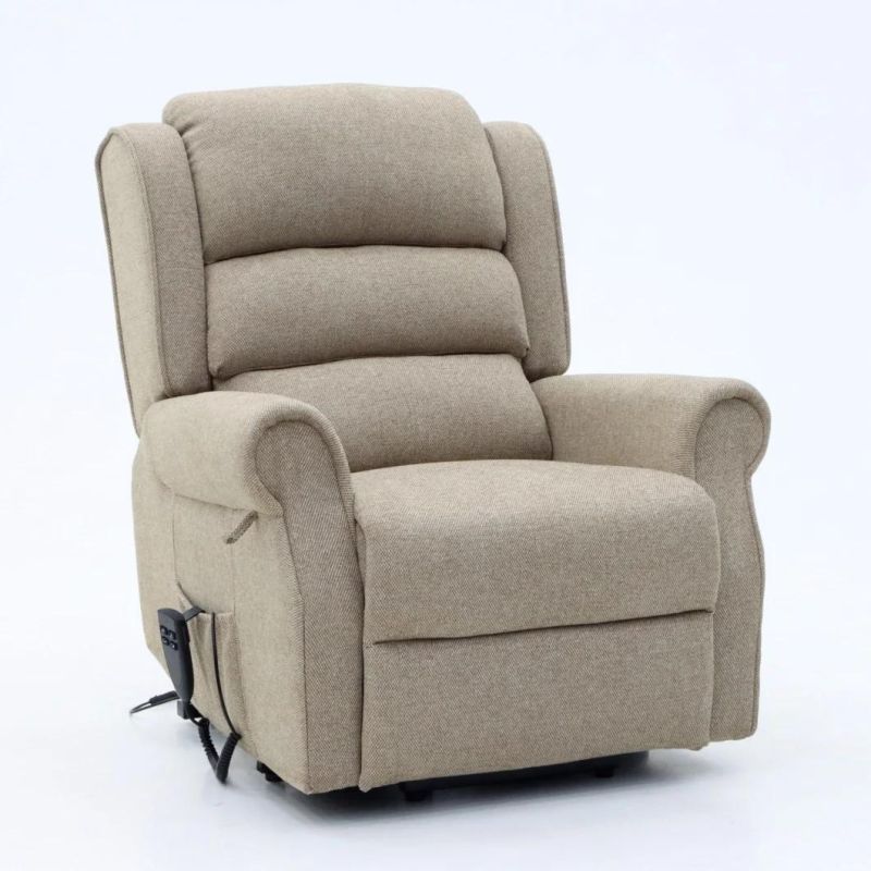 Geeksofa Elderly Multi Position Electric Recliner Power Lift Chair