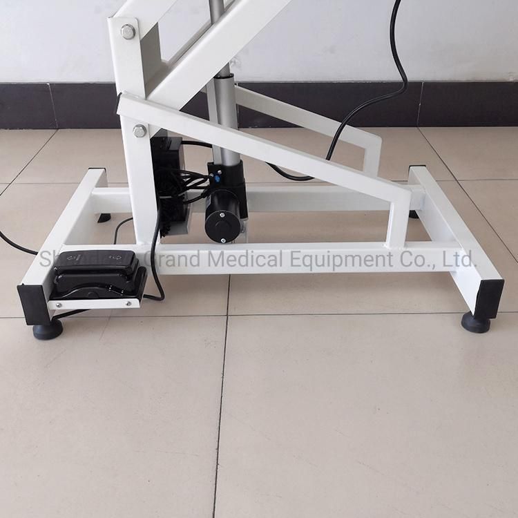 Hot Selling Factory Price 304 Stainless Steel Pet Equipment Electrice Lifting Adjustable Pet Treatment Operating Table