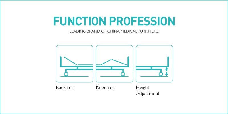 Ce FDA Certificated Electric Home Care Bed Used for Nursing Home