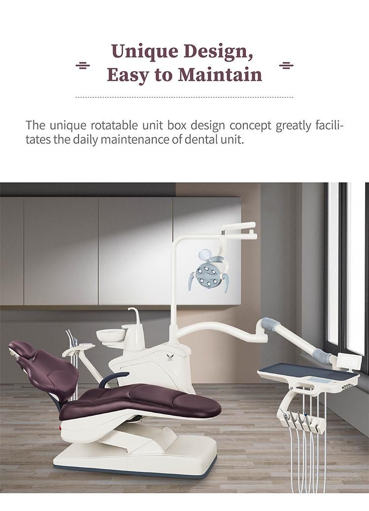 Dental Model Jaws Luxury Dental Unit