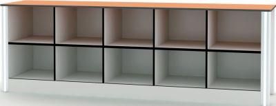 Home/Hospital General Cupboard with More Dividers: Medical Equipment Furniture Supply