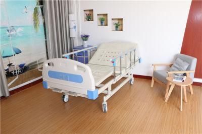 Easy Adjustable Two Cranks ABS Hospital Bed Stable Metal Frame Nursing Bed for Patient