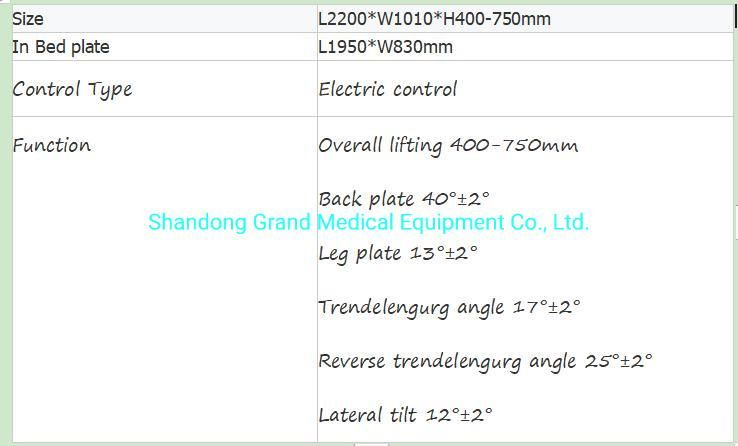 Top Grade Hospital Equipment Medical Luxury Electric 12 Function Nuring Patient Heathcare Functional Patient Bed Electric Hospital Bed with Toilet
